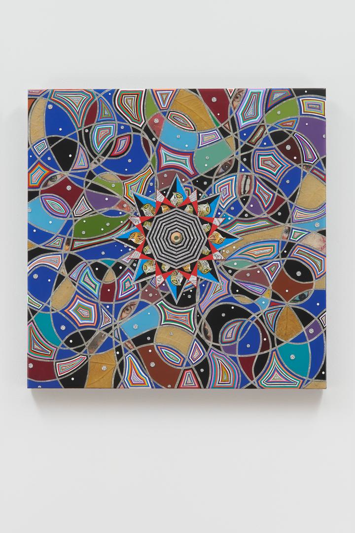 Fred Tomaselli - Untitled - 1