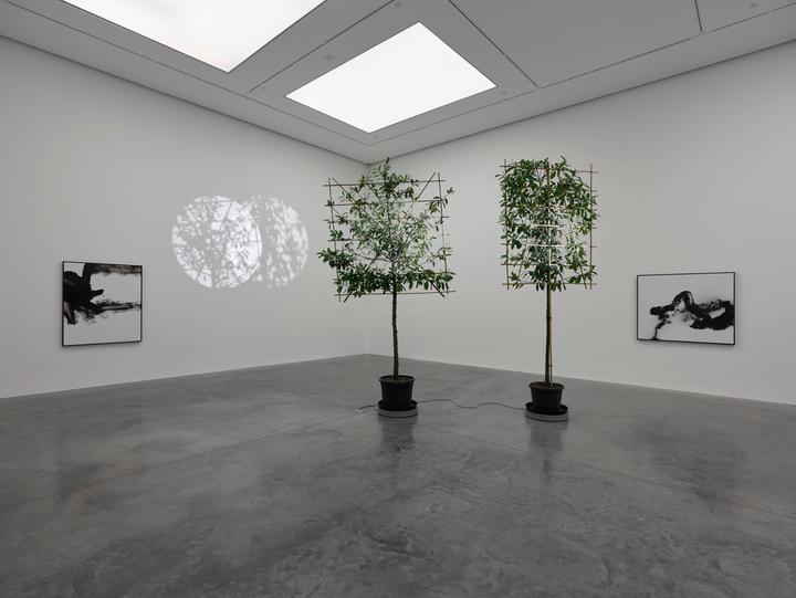 Cerith Wyn Evans - Still life (In course of arrangement)… VI - 1