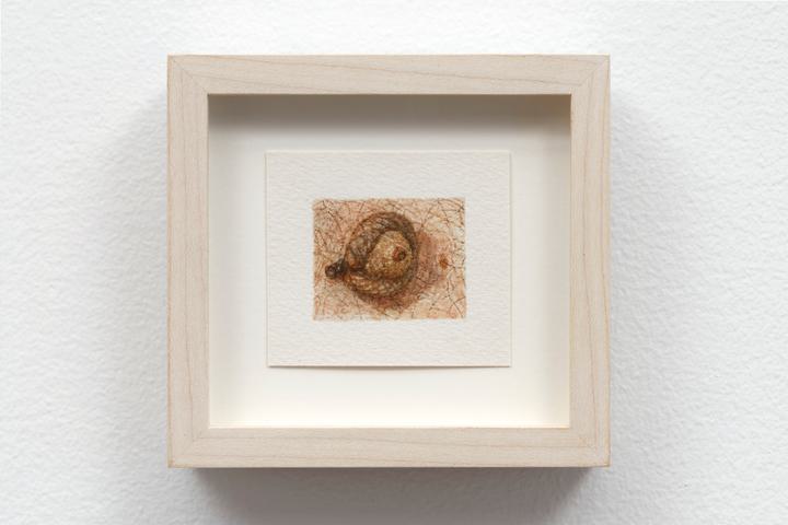 Ellen Altfest - Acorn - 1