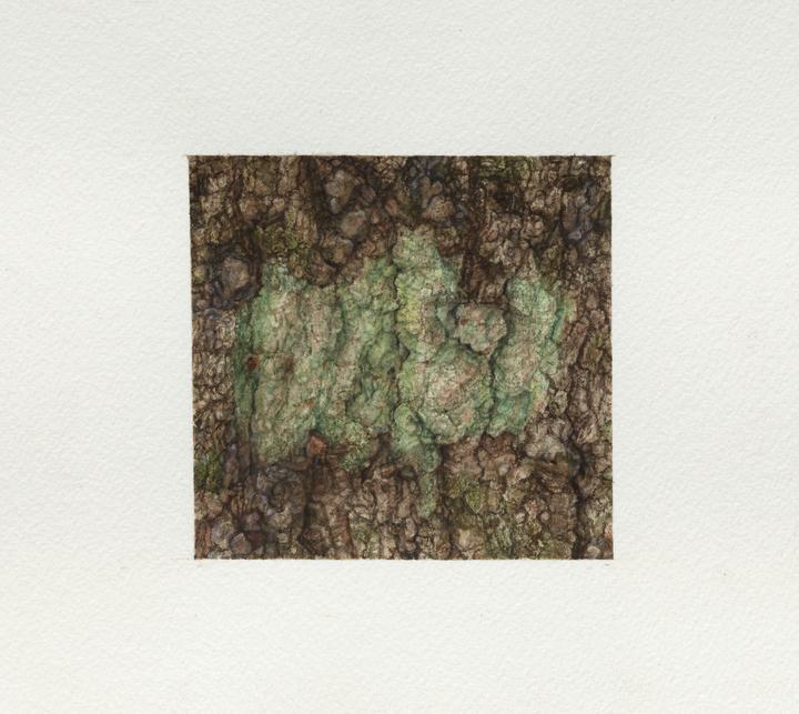 Ellen Altfest - Green Shapes - 3