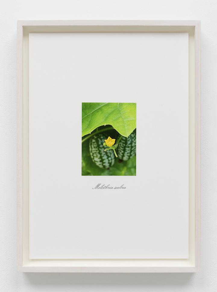 Danh Vo - Untitled - 1