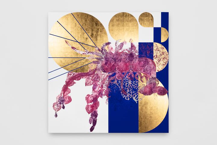 Gabriel Orozco - Lobster - 1