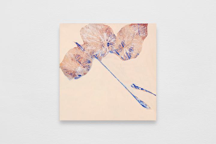 Gabriel Orozco - Plant Journal 1 - 1