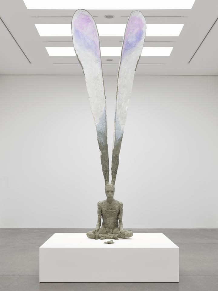 David Altmejd - The Vector - 20