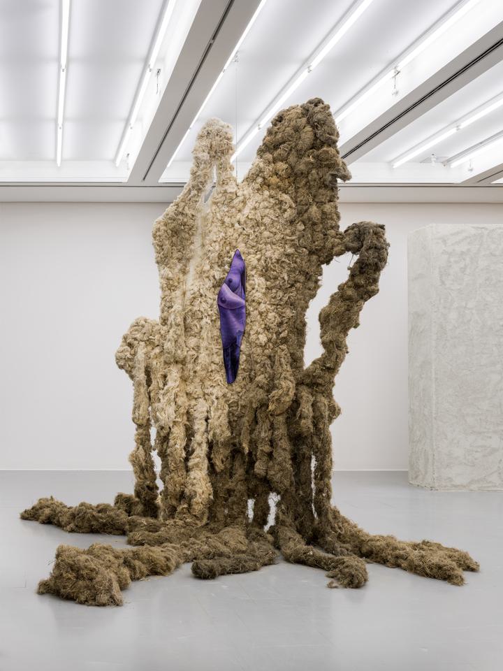 Klára Hosnedlová - Untitled (from the series To Infinity) - 1