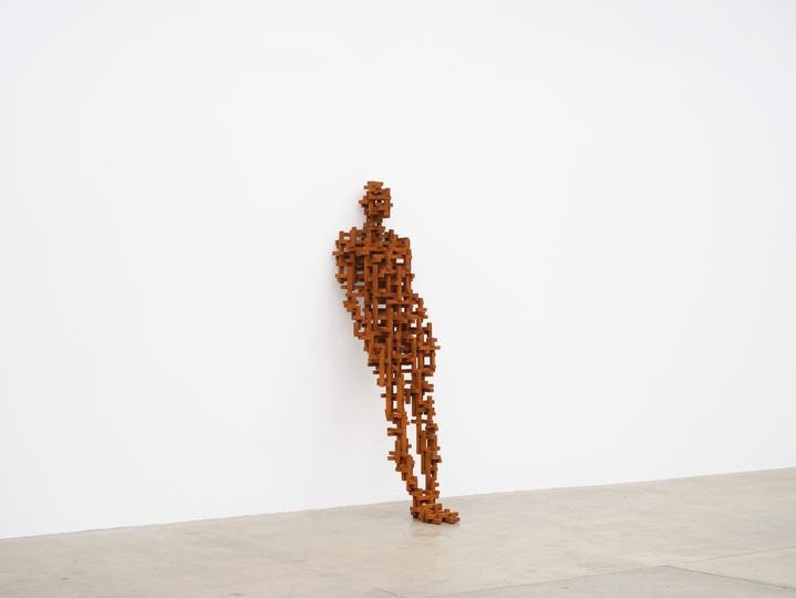 Antony Gormley - Test: Brace - 1