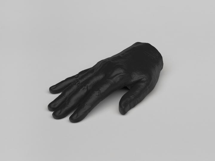 Katharina Fritsch - Hand - 1