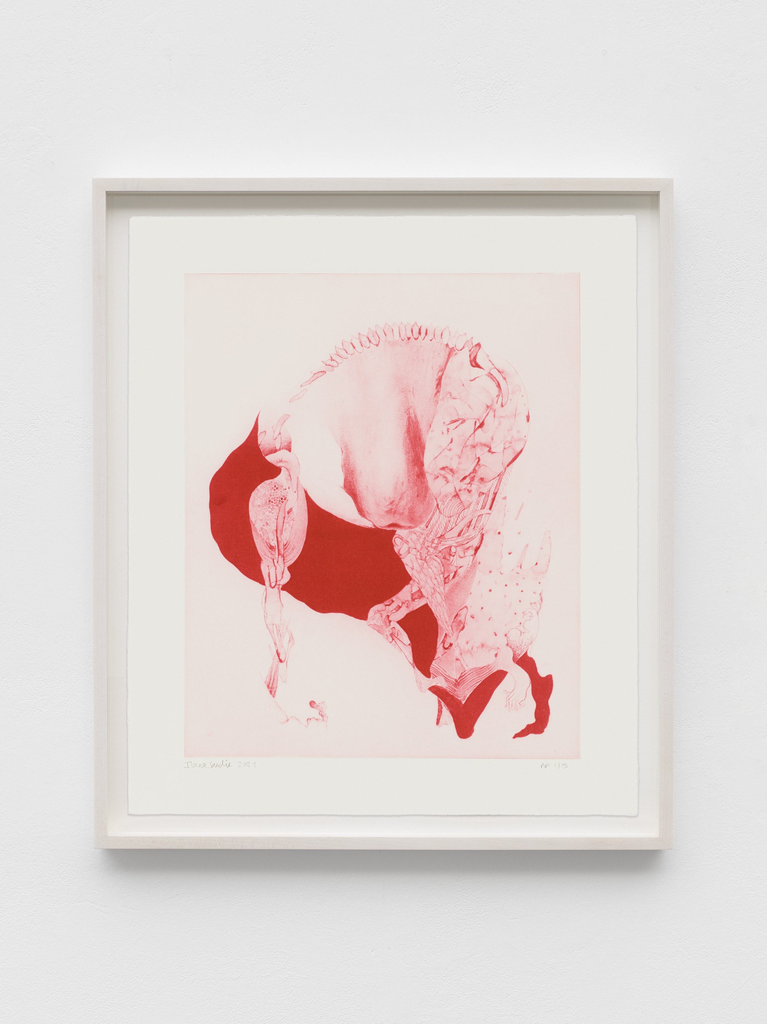 Ilana Savdie - Ecdysis - 1