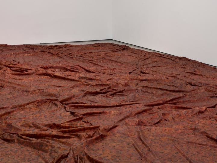 Doris Salcedo - A Flor de Piel - 1