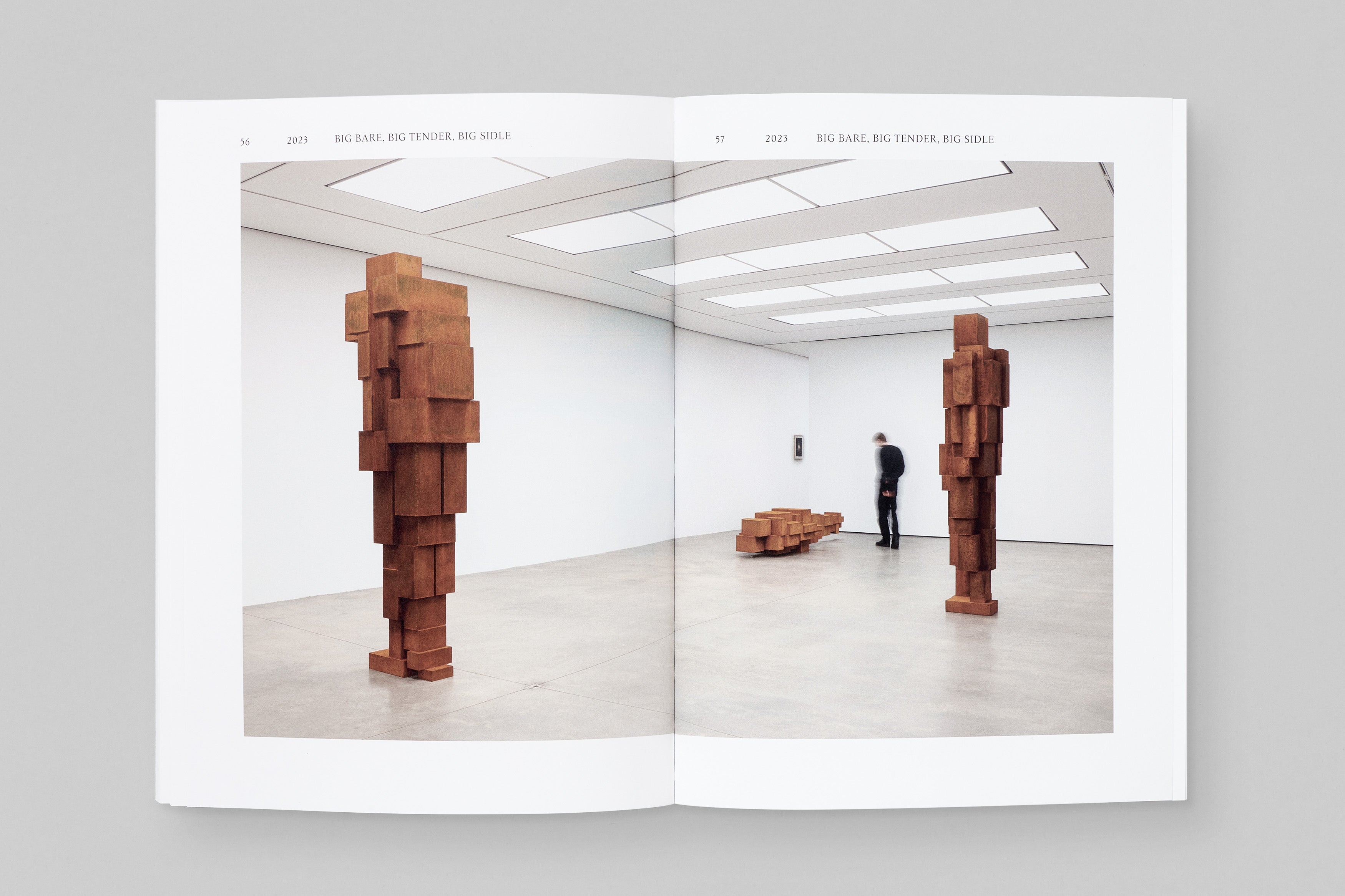 Antony Gormley ‘Aerial’